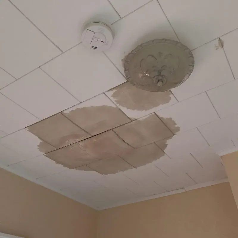 Ceiling Water Damage Repair in Worthington, IN