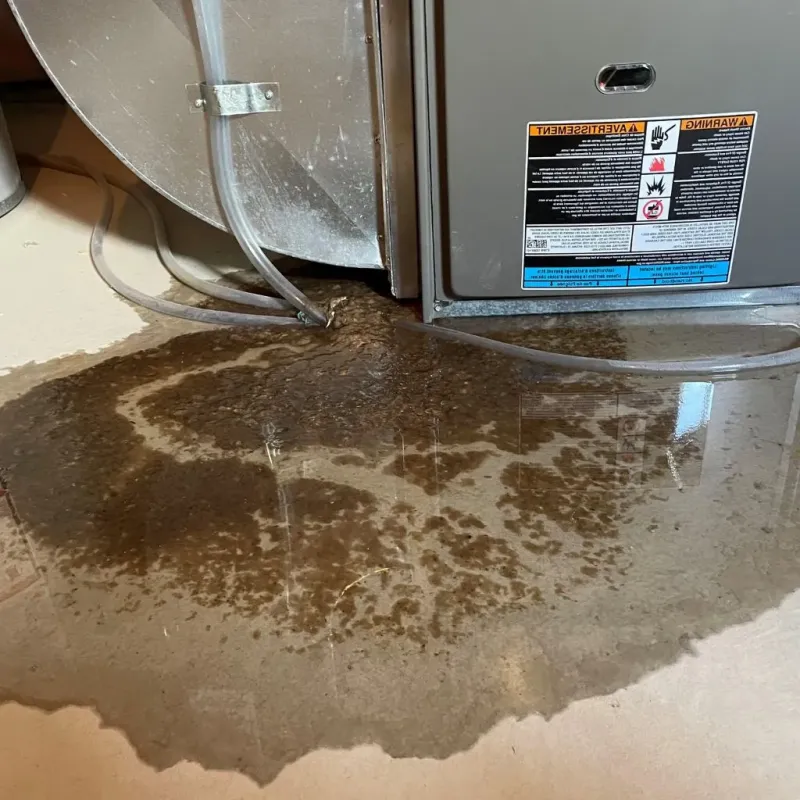 Pipe Burst and Leak Restoration in Worthington, IN