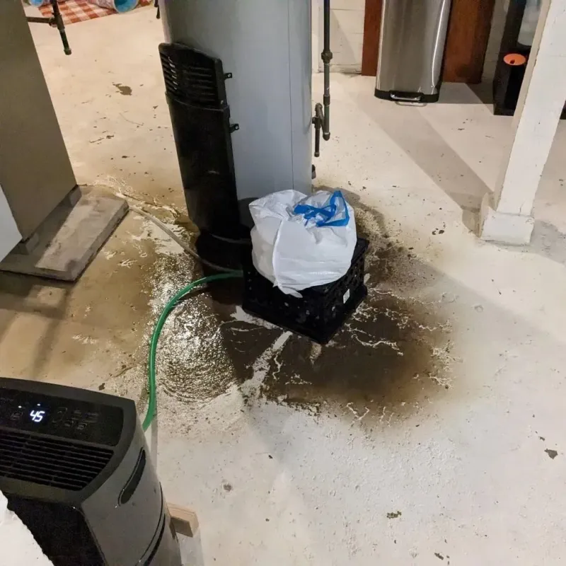 Sewage Backup Cleanup Service in Worthington, IN